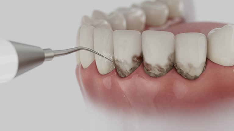 Reliable Dental contractor in Monongah, WV by Dentist Open Now